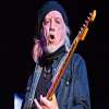 Brad Whitford